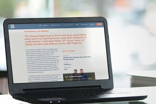 Website Editing