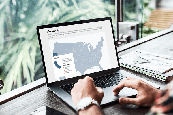 Interactive Maps