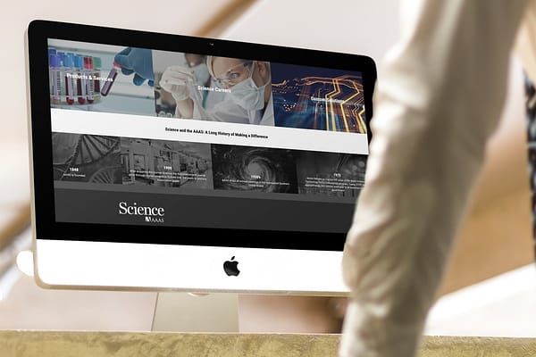 Interactive Timeline