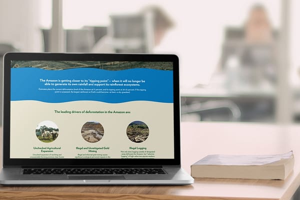 Drag-and-Drop Editing