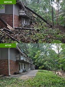 Expert Emergency Tree Removal | Before and After