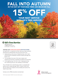Ed's Tree Service Fall Coupon