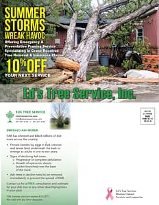 Summer storm tree removal coupon