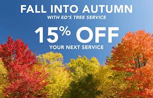 ETS Fall 2025 Special