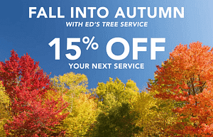 ETS Fall 2025 Special