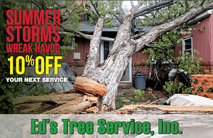 Ed's Tree Service 10% off coupon
