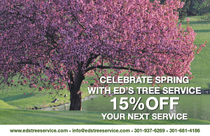 Ed's Tree Service Spring Coupon for 15% off your next service