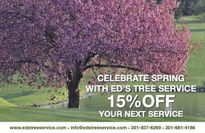 Ed's Tree Service, coupon
