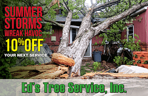 Ed's Tree Service