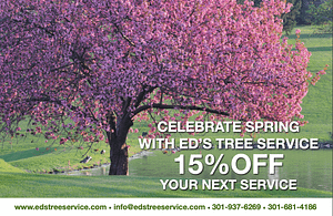 Ed's Tree Service
