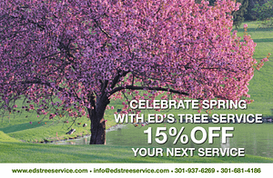 Ed's Tree Service Spring Coupon