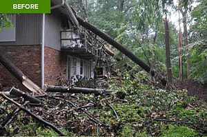 Before picture of a tree fallen on a Maryland house