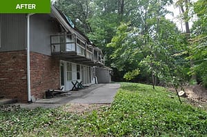 After picture of a removed fallen tree