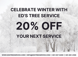 Ed's Tree Service, winter 2022/2023 coupon