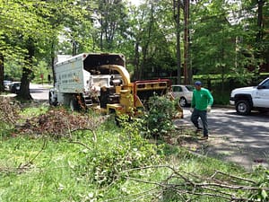 Jason A Maryland Tree Removal