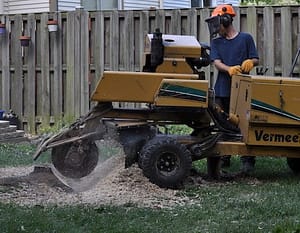 Rockville stump removal