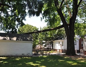 Emergency Tree Removal in Hyattsville