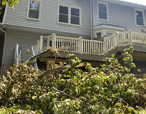 House in need of Emergency Tree Removal Service, Bethesda Maryland
