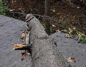 Tree fallen on house in Rockville Maryland
