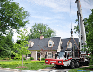 Ed's Tree Service helping a beautiful Montgomery County house