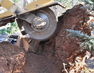 Stump Removal