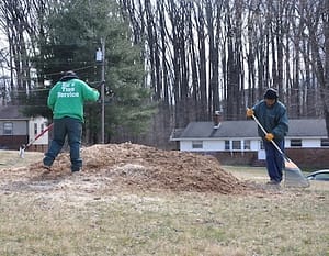 Bethesda Stump Removal