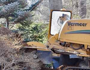 stump removal Bethesda