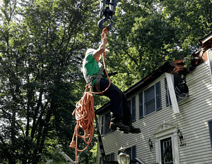 Ed's Tree Service Emergency tree service