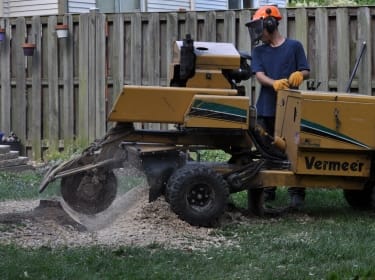 Stump Removal, Olney MD, Ed's Tree Service removing stump with machine