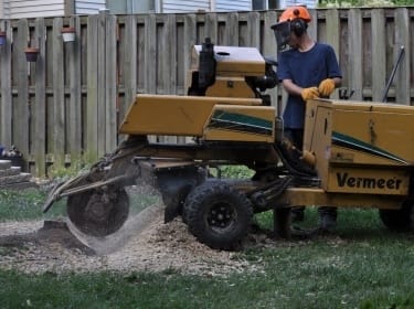 Stump Removal Bethesda, Ed's Tree Service removing stump in yard