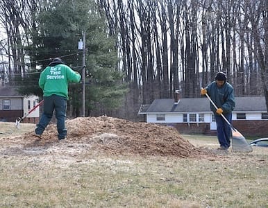 Bethesda Stump Removal