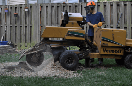 Professional Stump Removal Rockville