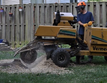 Bethesda Stump Removal