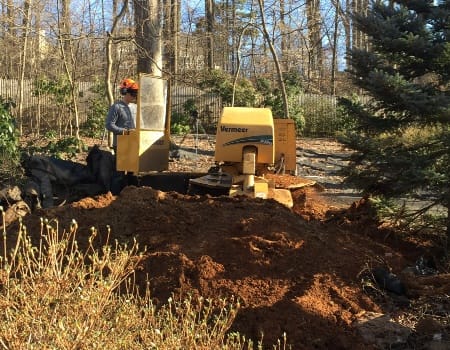 Silver Spring Stump Removal