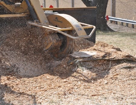 Stump Removal, Bethesda, Maryland