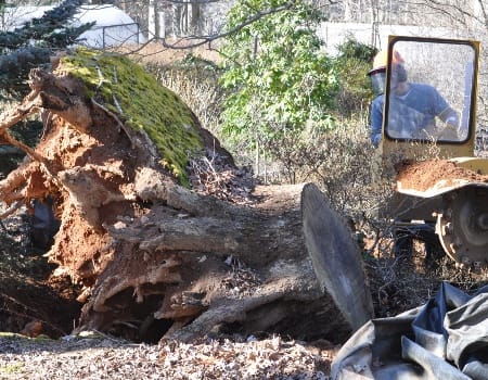 Stump Removal in MD