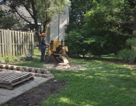 Stump Removal Laurel MD