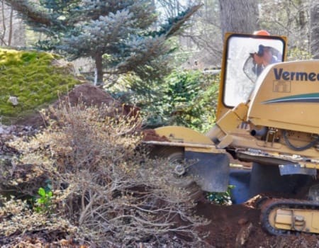 Stump Removal, Maryland, machine removing
