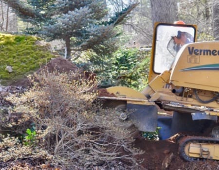 Stump Removal, Maryland, Bethesda, machine removing