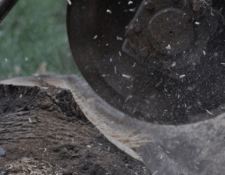 Stump Removal In Bethesda