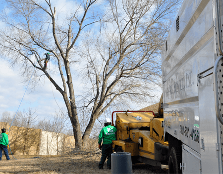 Emergency Tree Removal in Montgomery County