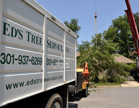 Eds Tree Service Truck