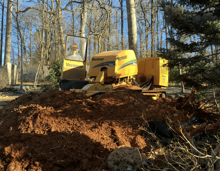 Ed's Tree Service stump grinding