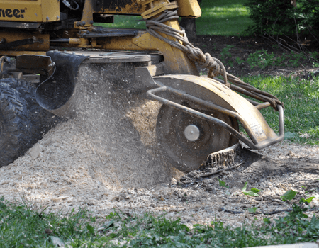 Stump Removal Rockville, MD