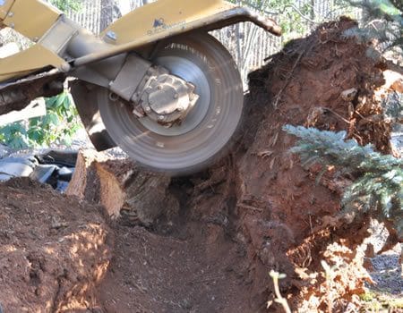 Stump Removal