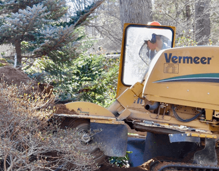 stump removal Bethesda