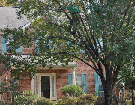 Beautiful house in Montgomery County with large trees in front