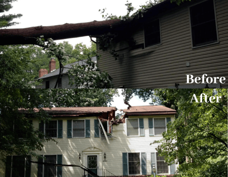 Before and after emergency tree service