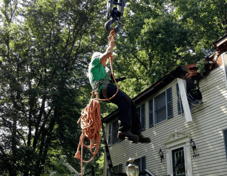 Ed's Tree Service Emergency tree service