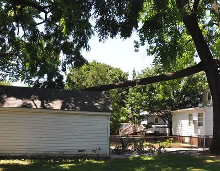 Rockville Emergency Tree Removal Company